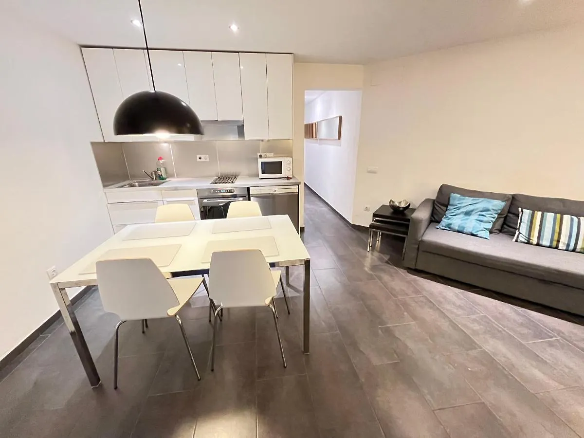 Gorgeous Apartment In Downtown Barcellona